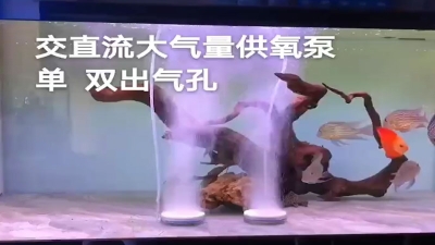 增氧气泵