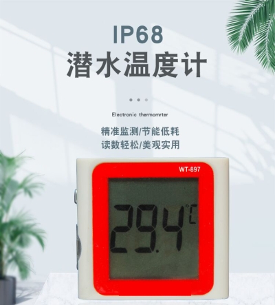 IP68潜水温度计